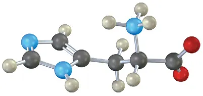 A ball-and-stick model of a substituted imidazole  connected to a three-carbon chain carboxylic acid containing an amine group at C 1