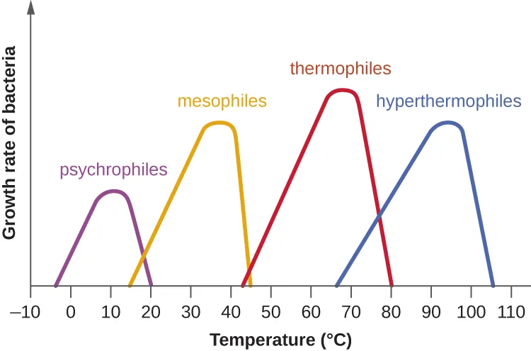 Growth rate of bacteria. Description below.