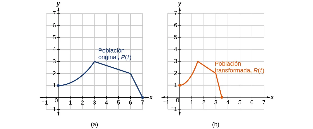 Dos gráficos paralelos. El primer gráfico tiene función para la población original, cuyo dominio es [0,7] y el rango es [0,3]. El valor máximo se produce en (3,3). El segundo gráfico tiene la misma forma que el primero, excepto que es la mitad de ancho. Es un gráfico de población transformada, con un dominio de [0, 3,5] y un rango de [0,3]. El máximo se produce en (1,5, 3). 