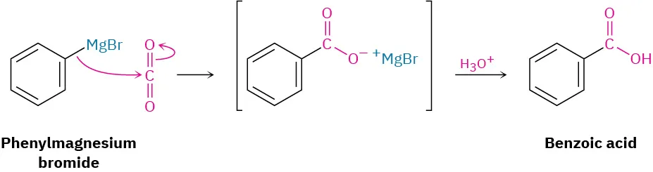 The preparation of benzoic acid by the reaction between phenylmagnesium bromide and carbon dioxide. A bromomagnesium carboxylate intermediate is protonated using H 3 O plus to give benzoic acid.