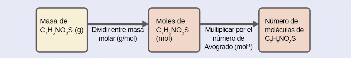 Se muestra un diagrama de tres recuadros conectados por una flecha hacia la derecha entre cada uno. El recuadro de la izquierda contiene la frase "Masa de C subíndice siete H subíndice cinco N O subíndice tres S ( g )", el recuadro del medio dice "Moles de C subíndice siete H subíndice cinco N O subíndice tres S ( mol )", mientras que el de la derecha contiene la frase "Número de moléculas de C subíndice siete H subíndice cinco N O subíndice tres S”. Hay una frase bajo la flecha de la izquierda que dice: "Dividir entre la masa molar (g / mol)", y bajo la flecha de la derecha dice: "Multiplicar por el número de Avogadro ( mol superíndice uno negativo)”.