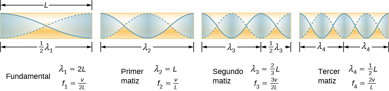 La imagen es un diagrama de la fundamental y de tres sobretonos más bajos para un tubo cerrado en un extremo. La fundamental tiene la mitad de su longitud de onda en un tubo. El primer sobretono tiene una de su longitud de onda en un tubo, el segundo sobretono tiene una y media de su longitud de onda en un tubo, el tercer sobretono tiene dos de su longitudes de onda en un tubo. Todos tienen desplazamientos de aire máximos en ambos extremos de un tubo.