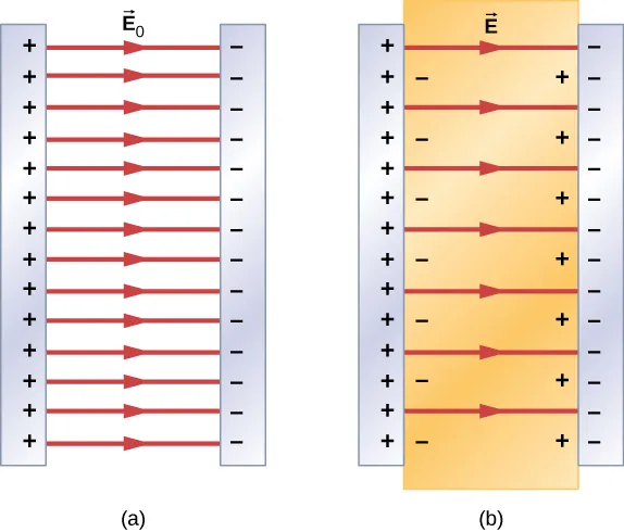 La figura a muestra un condensador vacío cargado. Las flechas que representan el campo eléctrico E0 van de la placa positiva a la negativa. La figura b muestra un condensador cargado lleno de dieléctrico. Las flechas que representan el campo eléctrico E van de la placa positiva a la negativa. El dieléctrico tiene cargas negativas acumuladas cerca de la superficie de la placa positiva y cargas positivas acumuladas cerca de la superficie de la placa negativa.