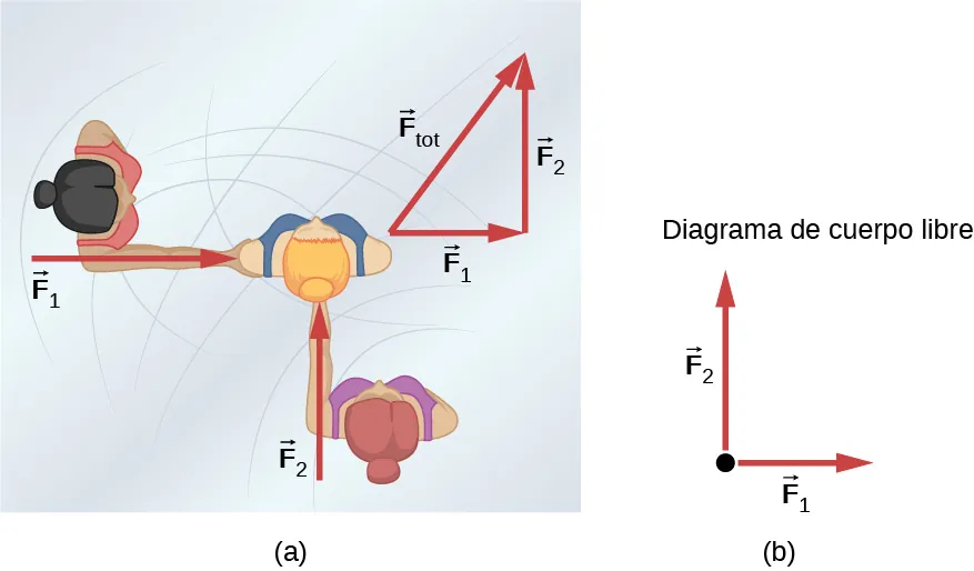 La Figura a muestra a dos personas empujando a una tercera con las fuerzas F1 y F2, que son perpendiculares entre sí. Otra figura muestra la suma de vectores, donde F1 y F2 se colocan cabeza con cola, y el vector resultante F total forma la hipotenusa del triángulo. La Figura b muestra un diagrama de cuerpo libre en el que F1 y F2 se originan en la misma fuente puntual.