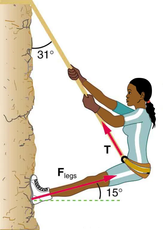 A mountain climber with a mass of fifty two kilograms exerts force with her feet parallel to her legs on a vertical rock face to remain stationary. The angle between her legs and the rock face is fifteen degrees, whereas the angle between the rope and the cliff is thirty one degrees.