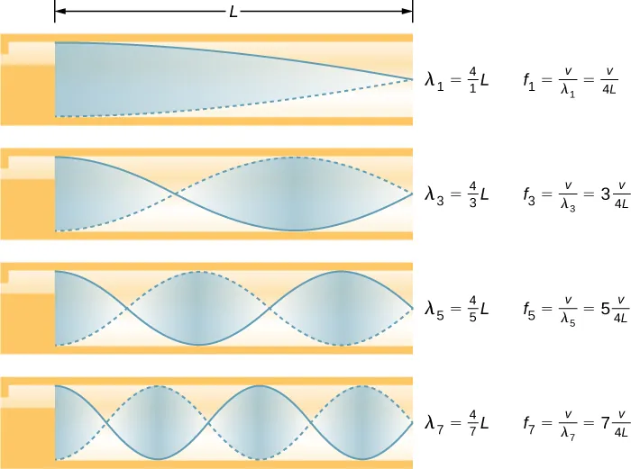 La imagen es un diagrama de la fundamental y de tres sobretonos más bajos para un tubo cerrado en un extremo. La fundamental tiene un cuarto de su longitud de onda en un tubo. El primer sobretono tiene tres cuartos de su longitud de onda en un tubo, el segundo sobretono tiene cinco cuartos de su longitud de onda en un tubo y el tercer sobretono tiene siete cuartos de su longitud de onda en un tubo. Todos tienen desplazamientos de aire máximos en un extremo y ninguno en el extremo cerrado.