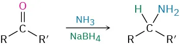 A carbonyl compound reacts with ammonia and sodium borohydride to form a secondary amine.