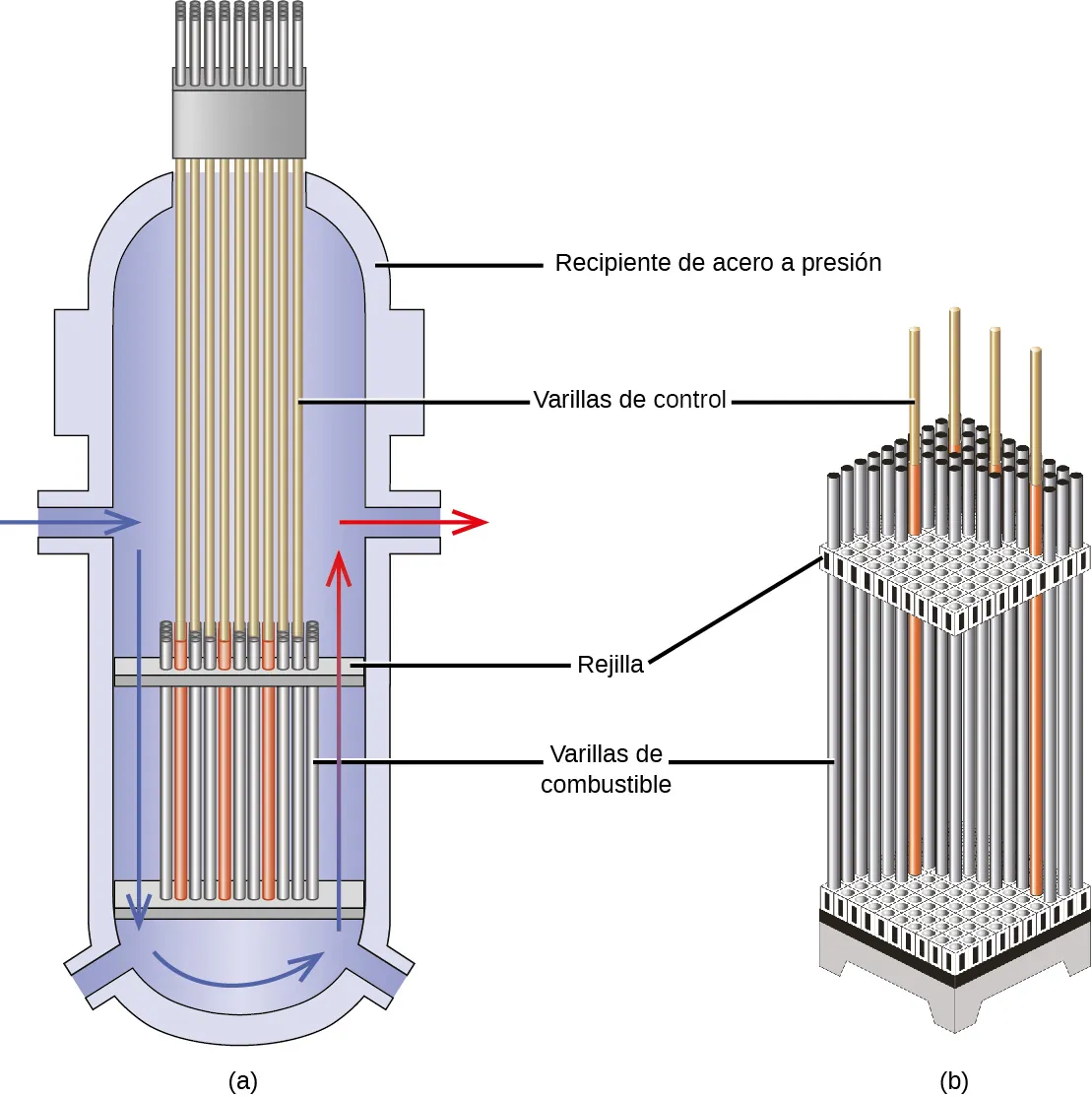 Se muestran dos diagramas marcados como "a" y "b". El diagrama a muestra una vista en corte de un tubo vertical con una placa plana y horizontal cerca de la parte inferior que se conecta a una serie de tubos verticales alineados uno al lado del otro y marcados como “varillas de combustible". Una segunda placa horizontal marcada como "rejilla" se encuentra en la parte superior de los tubos y un segundo conjunto de tubos verticales más finos, marcados como “varillas de control", conduce desde esta placa hasta la parte superior del contenedor. Las paredes del contenedor están marcadas como “recipiente de acero a presión". Una flecha azul, orientada hacia la derecha, parte de un punto de entrada en el lado izquierdo del contenedor y va seguida de una segunda flecha azul, orientada hacia abajo, y de una flecha curva, orientada hacia la derecha, que recorren el borde exterior e inferior del contenedor. Una flecha azul y roja sigue a estas y se dirige hacia el lado derecho del contenedor hasta una salida cerca de la cara derecha donde una flecha roja, orientada hacia la derecha, conduce hacia fuera. El diagrama b es una imagen recortada de un conjunto vertical, rectangular y tridimensional de tubos verticales. Los tubos están marcados como “varillas de combustible" y se insertan en una placa horizontal superior e inferior, marcada como "rejilla". Por encima de los tubos se extienden cuatro varillas finas que llevan la marcación "varillas de control".