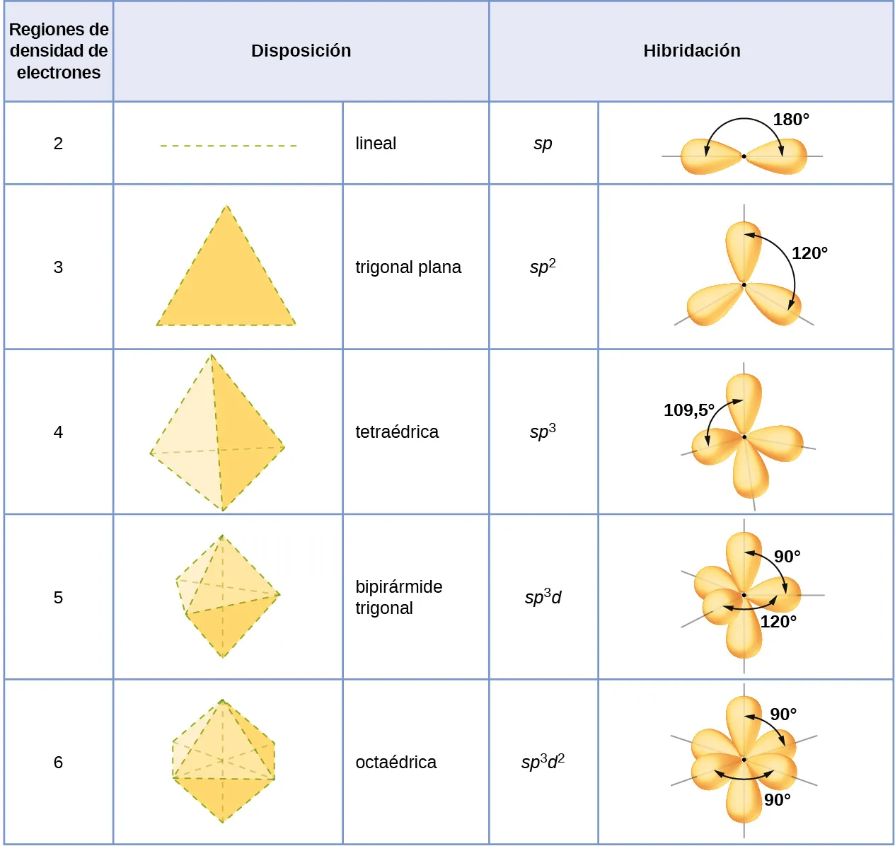 Se muestra una tabla compuesta por cinco columnas y seis filas. La fila de encabezado dice "Regiones de densidad electrónica", "Disposición" (que tiene dos columnas debajo) e "Hibridación" (que tiene dos columnas debajo). La primera columna contiene los números "2", "3", "4", "5" y "6". La segunda columna contiene imágenes de una línea, un triángulo, una pirámide de tres caras, una bipirámide trigonal y un octaedro de ocho caras. La tercera columna contiene los términos "Lineal", "Trigonal planar", "Tetraédrica", "Trigonal bipiramidal" y "Octaédrica". La cuarta columna contiene los términos "s p", "s p superíndice 2", "s p superíndice 3", "s p superíndice 3 d" y "s p superíndice 3 d superíndice 2". La última columna contiene dibujos de las moléculas que comienzan con una estructura en forma de maní marcada con un ángulo de "180 grados". La segunda estructura está formada por tres estructuras redondeadas de igual tamaño conectadas en un punto con un ángulo de "120 grados", mientras que la tercera es una disposición tridimensional de cuatro estructuras redondeadas de igual tamaño marcadas como "109,5 grados". La cuarta estructura está formada por cinco estructuras redondeadas de igual tamaño conectadas a "120 y 90 grados", mientras que la quinta tiene seis estructuras redondeadas de igual tamaño conectadas a "90 grados"