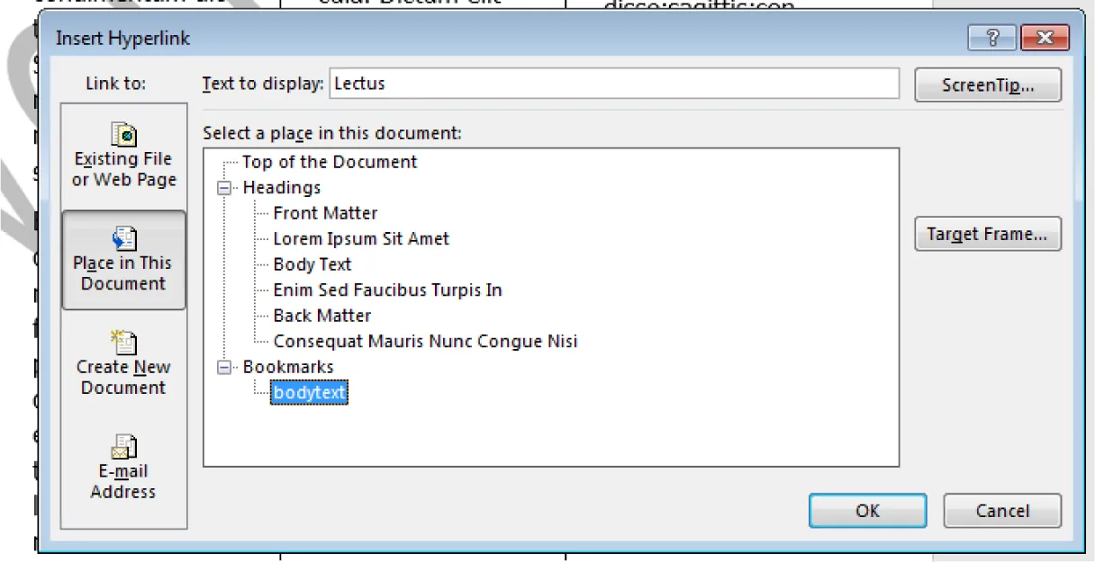 Insert Hyperlink pane opens to Link to Existing File/Web Page, Place in This Document, Create New Document, E-mail Address. Text to Display and Select a place in this document offer selections.