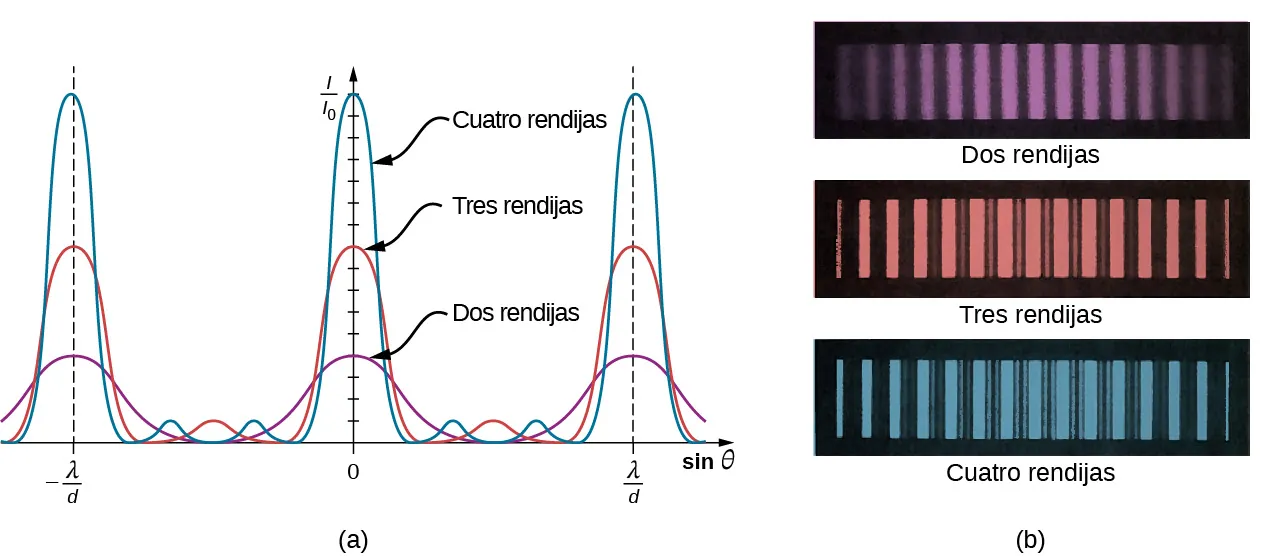 La imagen A muestra un gráfico de los patrones de franjas de interferencia para dos, tres y cuatro rendijas. A medida que aumenta el número de rendijas, aparecen más máximos secundarios, pero los máximos principales se estrechan. La imagen B muestra fotografías de patrones de franjas para dos, tres y cuatro rendijas. A medida que aumenta el número de rendijas, aparecen más máximos secundarios, pero los máximos principales son más brillantes.