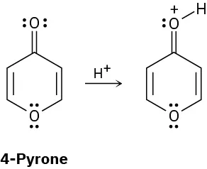 4-Pyrone, when treated wuth acid is protonated at the carbonyl group, the oxygen of which now carries a positive charge.