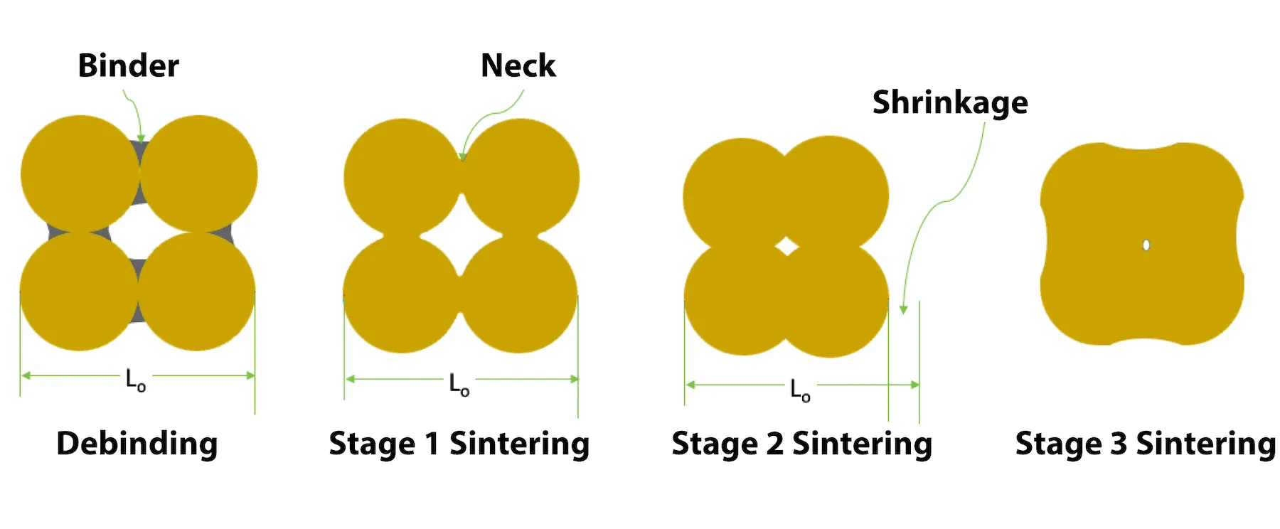 Sintering is depicted in four stages. First, debinding removes materials from between the particles. This reveals the small connecting neck between two particles. In sintering stage two, the pieces are brought closer together, reducing gaps between particles. And in stage three they are almost completely combined with only a very small space in the middle. The piece has condensed from four distinct particles to one almost completely coheisve particle.