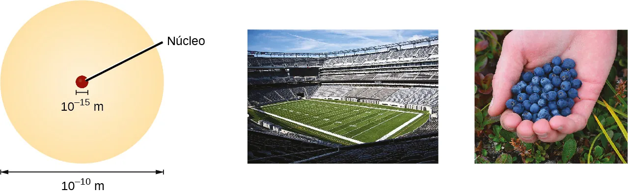 El diagrama de la izquierda muestra una imagen de un átomo de 10 a la décima potencia negativa metros de diámetro. El núcleo está marcado en el centro del átomo y mide 10 a la decimoquinta potencia negativa metros. La figura central muestra una fotografía de un estadio de fútbol americano. La figura de la derecha muestra una fotografía de una persona con un puñado de arándanos.