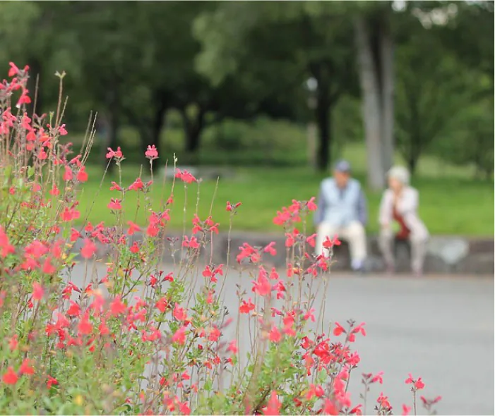 Photo of two individuals sitting on a bench outside.