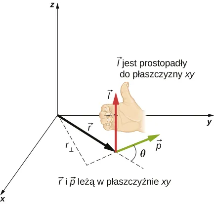 Na układzie współrzędnych x y z, w którym x zwrócona jest ze strony, y wskazuje na prawo, a z wskazuje na punkt z. Wektor r wskazuje od początku do punktu na płaszczyźnie x y, w pierwszym kwadrancie. Wektor wskazuje od wierzchołka wektora r, pod kątem theta w kierunku przeciwnym do ruchu wskazówek zegara z kierunku wektora r, patrząc od góry. Oba wektory r i p znajdują się w płaszczyźnie xy. Wektor l zwraca się ku górze i jest prostopadły do płaszczyzny xy, zgodnej z regułą prawej dłoni. Kiedy prawą rękę ma palce zwijające się w lewo, patrząc od góry, kciuk wskazuje w kierunku l. Pokazujemy również elementy wektora r równoległe i prostopadłe do wektora p. Wektor r sub prostopadły jest rzutem wektora r prostopadłego do kierunku wektora p.