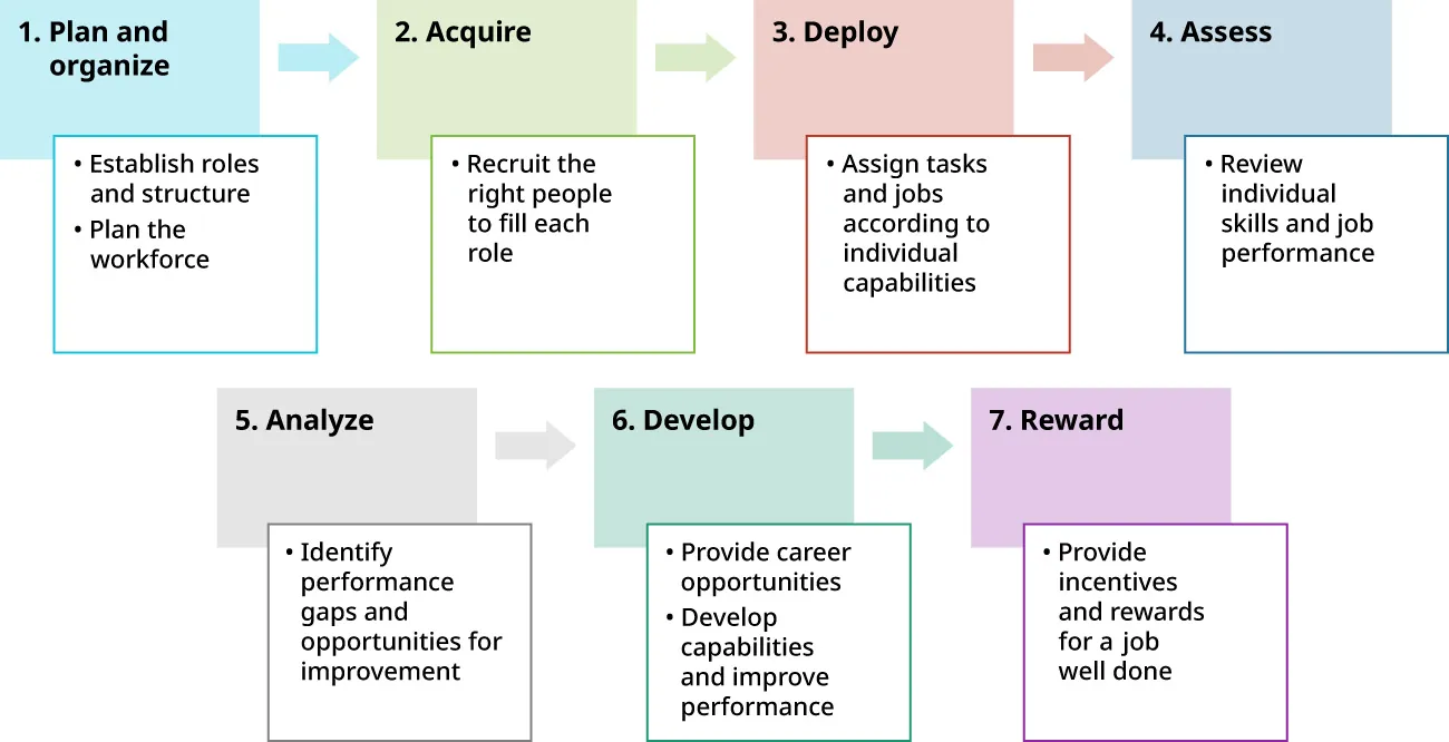 SFIA steps: 1. Plan/Organize (establish roles/workforce); 2. Acquire (recruit people); 3. Deploy (assign tasks); 4. Assess (review skills/job performance); 5. Analyze (identify gaps/improvement opportunities); 6. Develop (provide/develop opportunities); 7. Reward (provide incentives).