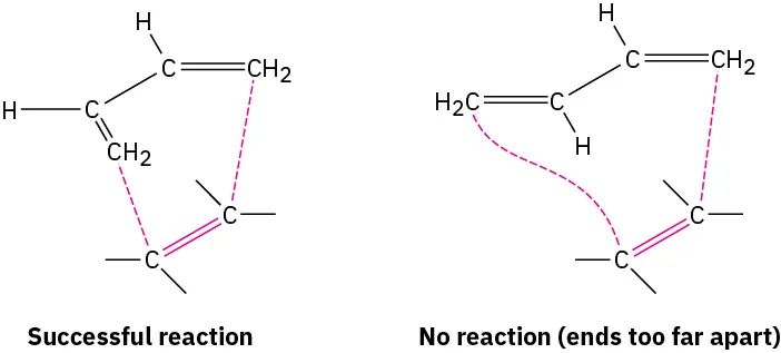 The orientations of 1,3-butadiene and ethene for successful reaction and no reaction (ends too far apart). The interactions between the two structures are represented by dashed lines.
