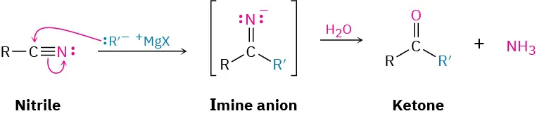 Nucleophilic addition of Grignard reagent on nitrile carbon forms imine anion (intermediate). Hydrolysis by water converts imine ions to ketone and ammonia.