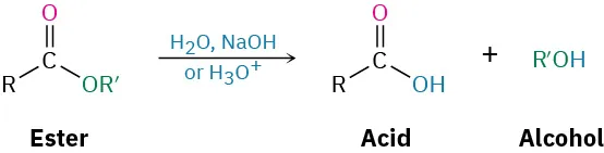The lactone structure comprises of a six-membered ring containing a carbonyl group with an oxygen atom next to it in the ring.