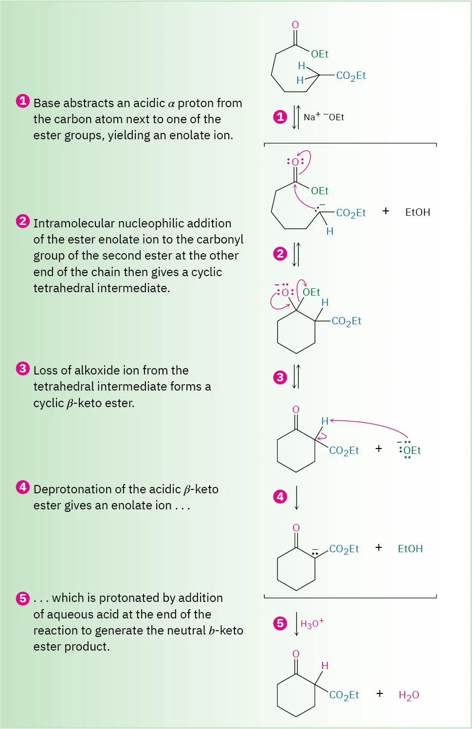 A Dieckmann cyclization of a 1,7-diester. The reaction steps comprise deprotonation by base, nucleophilic attack, alkoxide loss, deprotonation to enolate, and final protonation to cyclic beta keto ester product.
