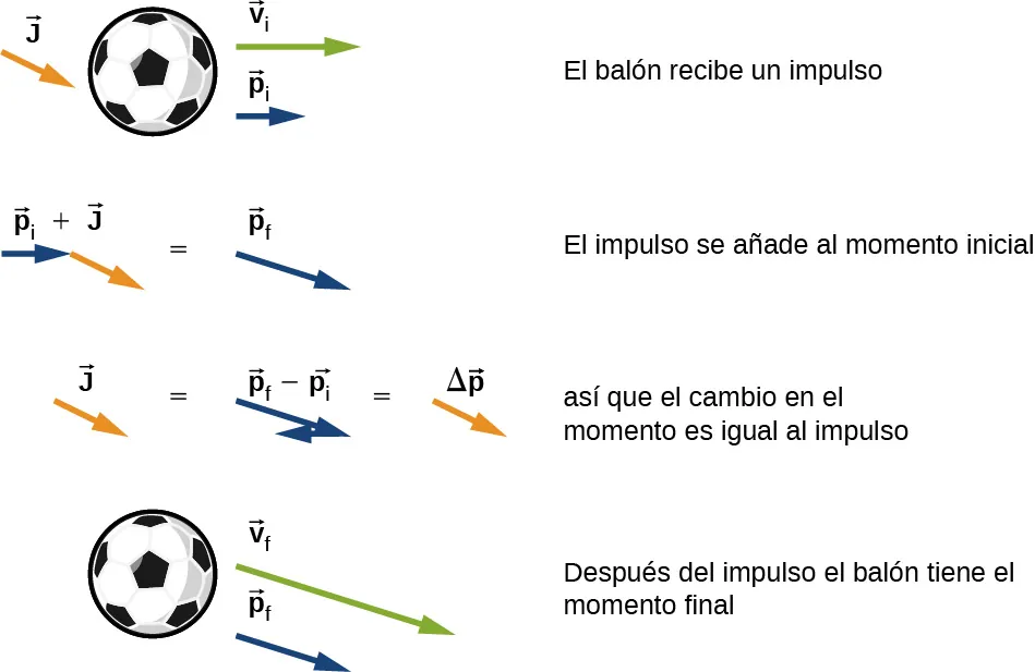 Se muestran un balón y tres flechas vectoriales. Las flechas son: v sub i hacia la derecha, p sub i hacia la derecha y J apuntando hacia abajo y hacia la derecha. Esta figura está marcada como "el balón recibe el impulso". La siguiente figura muestra el vector p i hacia la derecha y el vector J, hacia abajo y hacia la derecha con su cola alineada con la punta del vector p i. Está marcado como p sub i más J y es igual al vector p sub f. Esta figura está marcada como "impulso que se añade al momento inicial". La siguiente figura muestra que el vector J es igual al vector p f con un vector opuesto al p sub i puesto con su cola en la punta del p sub f. Los vectores p están marcados como p sub f menos p sub i. Esto es igual a un vector idéntico al vector J, pero marcado como delta p. Esta figura está marcada como "así que el cambio de momento es igual al impulso". La última figura muestra el balón y dos flechas: el vector p sub f y otro vector en la misma dirección y marcado como v sub f. Esta figura está marcada como "después del impulso el balón tiene el momento final".