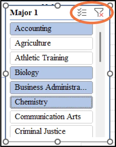Major 1 slicer displays some categories in blue, some in white. Remove Filter button is highlighted in top corner.