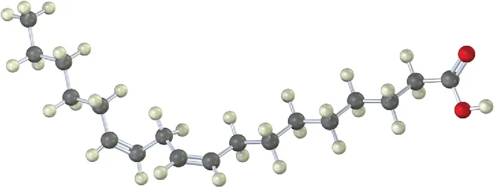 The ball-and-stick model of fatty acid. Black, gray, and red spheres denote carbon, hydrogen, and oxygen, respectively.