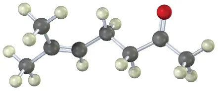 Ball-stick model of a compound comprising a seven-carbon chain with C 2 being a carbonyl group, a double bond between C 5 and C 6, and a methyl group on C 6. Black, gray, and red spheres represent carbon, hydrogen, and oxygen, respectively.