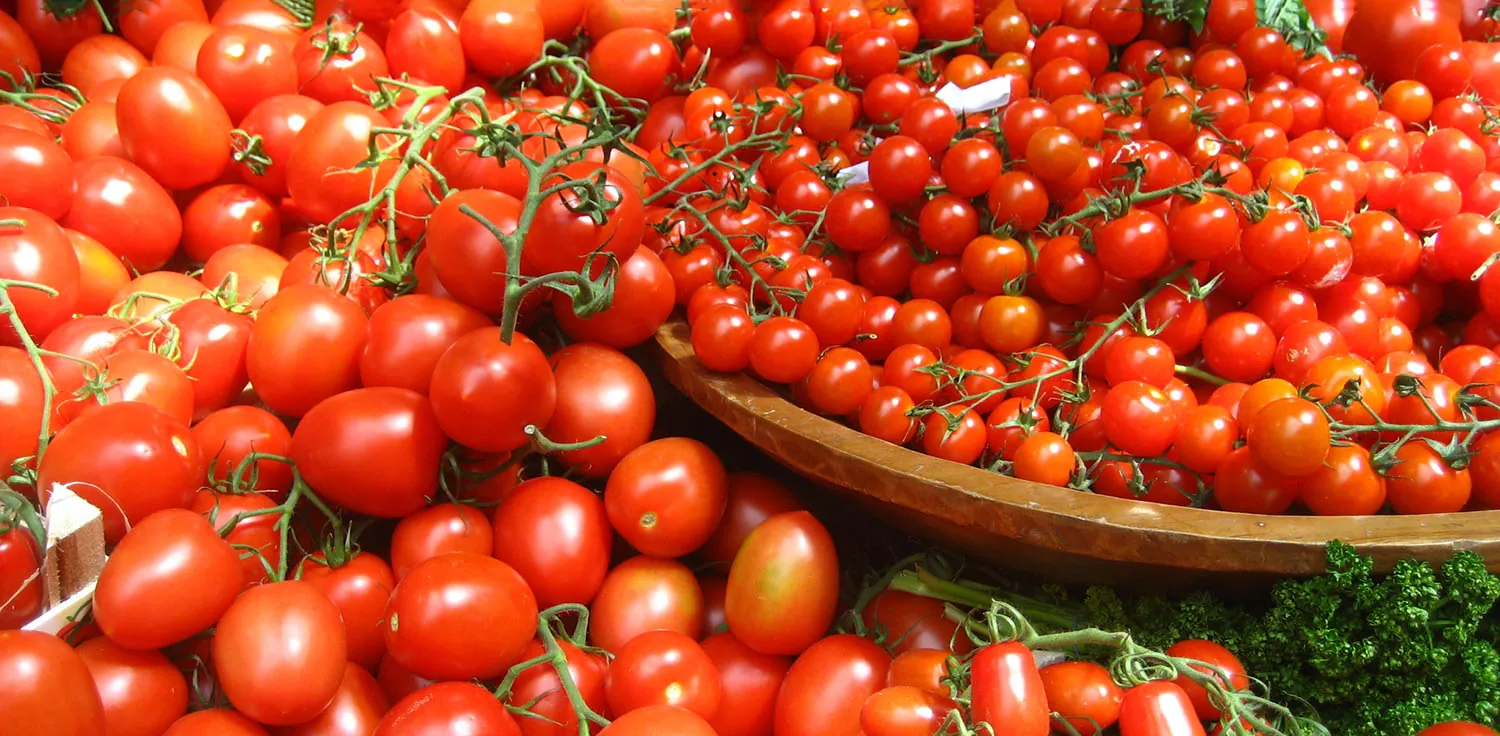 A photo shows fresh, ripe tomatoes.
