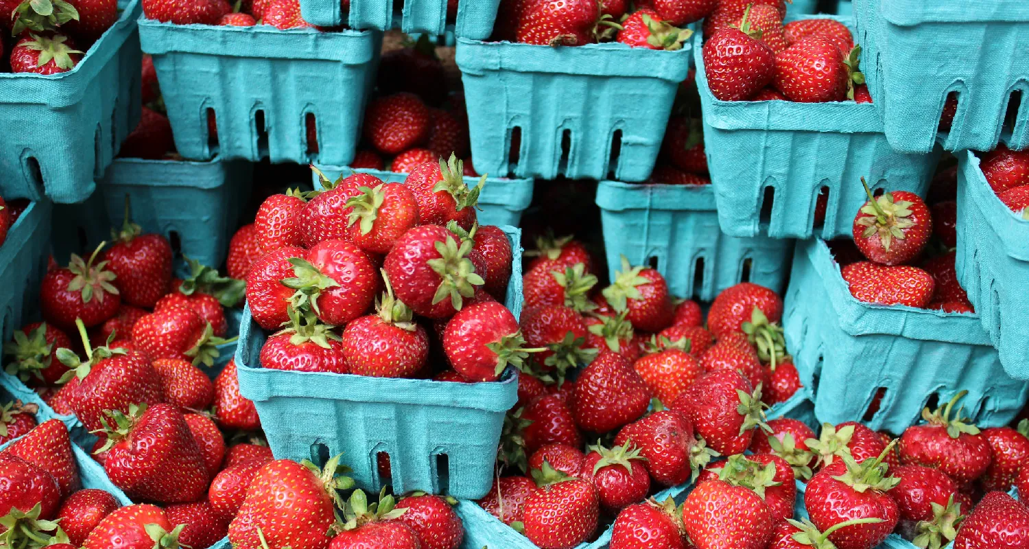Cartons of strawberries, some stacked on top of one another.