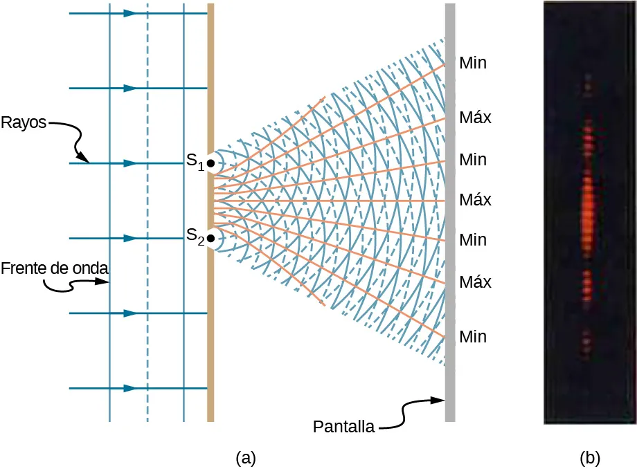La imagen de la izquierda es un dibujo esquemático del experimento de la doble rendija. La luz monocromática entra por las dos rendijas S1 y S2. La luz se propaga después de atravesar las rendijas y las ondas se superponen de forma constructiva y destructiva. La imagen de la derecha es una fotografía del patrón de franjas que muestra los puntos brillantes formando una línea.