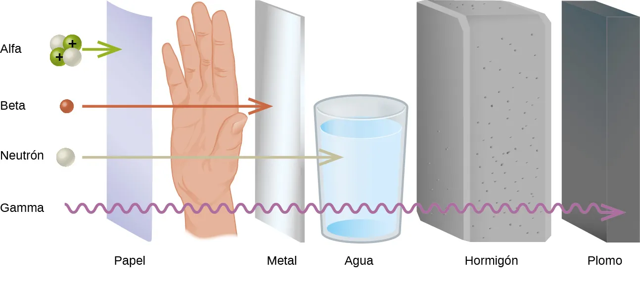 Un diagrama muestra cuatro partículas en una columna vertical a la izquierda, seguidas de una hoja de papel en posición vertical, la mano de una persona, una hoja de metal en posición vertical, un vaso de agua, un grueso bloque de hormigón y un grueso trozo de plomo en posición vertical. La partícula superior de la lista se compone de dos esferas blancas y dos verdes, marcadas con signos positivos, y se denomina "alfa". Una flecha orientada a la derecha conduce desde aquí hasta el papel. La segunda partícula es una esfera roja marcada como "beta" y va seguida de una flecha hacia la derecha que atraviesa el papel y se detiene en la mano. La tercera partícula es una esfera blanca marcada como "neutrón" y va seguida de una flecha orientada a la derecha que atraviesa el papel, la mano y el metal, pero se detiene en el vaso de agua. La cuarta partícula se muestra con una flecha serpenteante y pasa a través de todas las sustancias, pero se detiene en el plomo. Los términos en la parte inferior se leen, de izquierda a derecha: "papel", "metal", "agua", "hormigón" y "plomo".