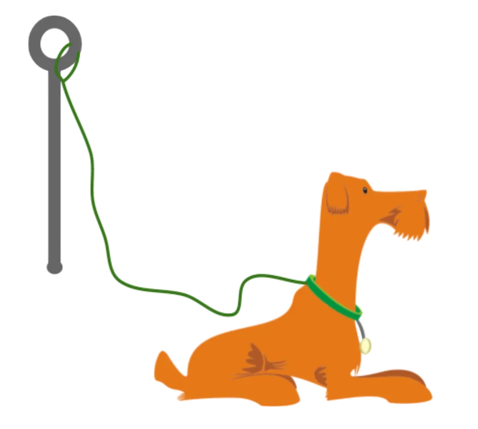 Dog with leash tied to a post.