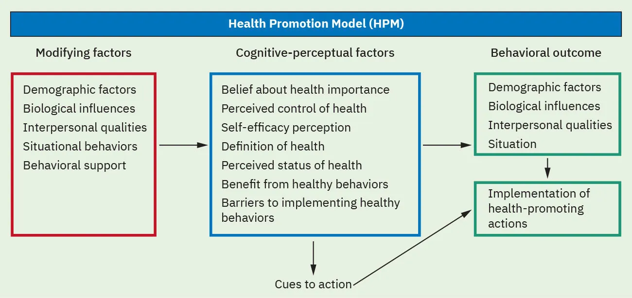 Chart showing Health Promotion Model (HPM): Modifying factors shown in red rectangle: Demographic factors, Biological influences, Interpersonal qualities, Situational behaviors, Behavioral support; arrow leading to Cognitive-perceptual factors shown in blue rectangle: Belief about health importance, Perceived control of health, Self-efficacy perception, Definition of health, Perceived status of health, Benefit from healthy behaviors, Barriers to implementing healthy behaviors; arrow leading to Cues to action; arrow leading from blue rectangle to first Behavioral outcome in first green rectangle: Demographic factors, Biological influences, Interpersonal qualities, Situation; arrows leading from first green rectangle and Cues to action to second Behavioral outcome in second green rectangle: Implementation of health-promoting actions