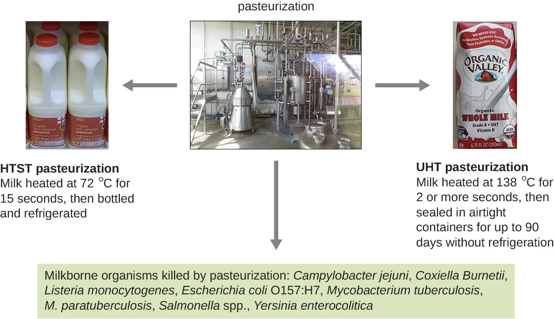 Pasteurization. Description below.