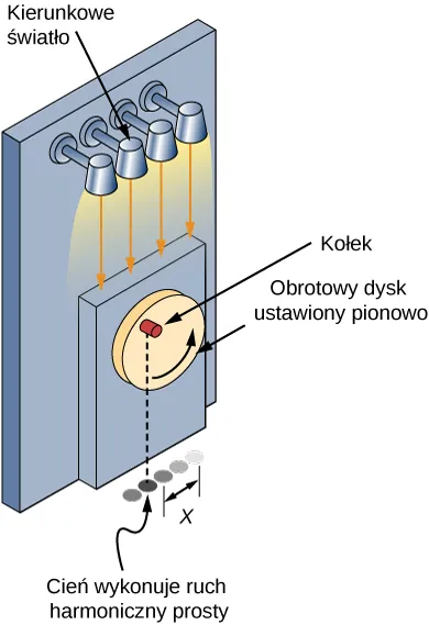 Rysunek przedstawia opisywaną w tekście metodę rzucania cienia w ruchu harmonicznym. Z umieszczonego pionowo na ścianie, obracającego się dysku wystaje kołek. Z góry oświetla go zestaw punktowych źródeł światła świecących w dół. Cień kołka pokazano poniżej jako szereg kółek w różnych położeniach oscylacji, tworzących linię równoległą do ściany. Odległość danego kółka cienia od środka tej linii oznaczono jako x.