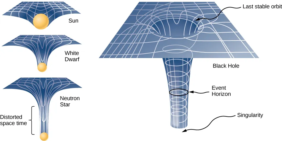 On the left are three illustrations of space time as a grid with increasingly deep dimples with an object at the bottom of the dimple. The top drawing is labeled sun, and has a shallow dimple. The middle figure is labeled white dwarf and has a deeper dimple and more distorted grid lines. The third figure is labeled neutron star. The dimple is very deep and its sides are nearly vertical. The region above the star is labeled distorted space time. On the right is a larger illustration of the effects of a black hole. The dimple is now a bend that becomes a flared tube that becomes vertical and is open at the bottom. The bottom of the tube is labeled singularity. The grid lines in the tube form vertical lines and a spiral. A circular cross section of the tube is labeled event horizon. A circle where the space time grid bends to form the top of the tube is labeled last stable orbit.