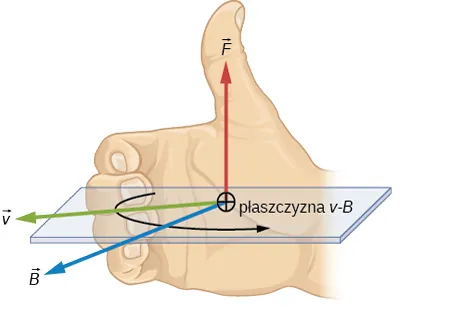 Ilustracja reguły prawej dłoni. Dłoń prawej ręki zwraca się w kierunku indukcji pola magnetycznego, B, w naszym przypadku - poza płaszczyznę strony. Palce prawej dłoni wskazują kierunek v, w naszym przypadku - w lewo, i zwracają się w kierunku B obracając v na kierunek B. Kciuk prawej dłoni wskazuje kierunek siły i jej zwrot - w naszym przypadku - do góry.
