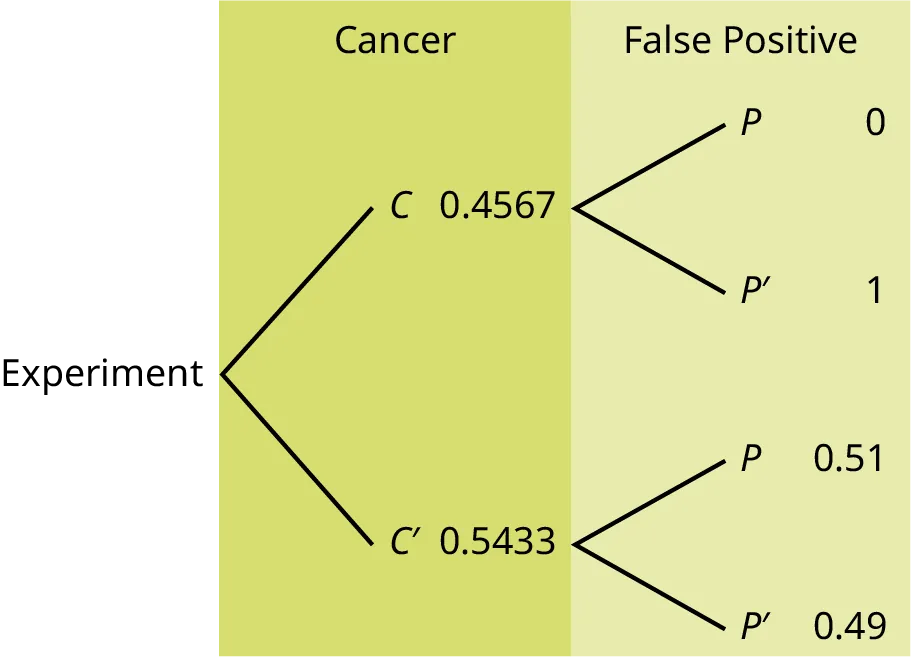 This is a tree diagram with two branches. The first branch, labeled Cancer, shows two lines: 0.4567 C and 0.5433 C'. The second branch is labeled False Positive. From C, there are two lines: 0 P and 1 P'. From C', there are two lines: 0.51 P and 0.49 P'.