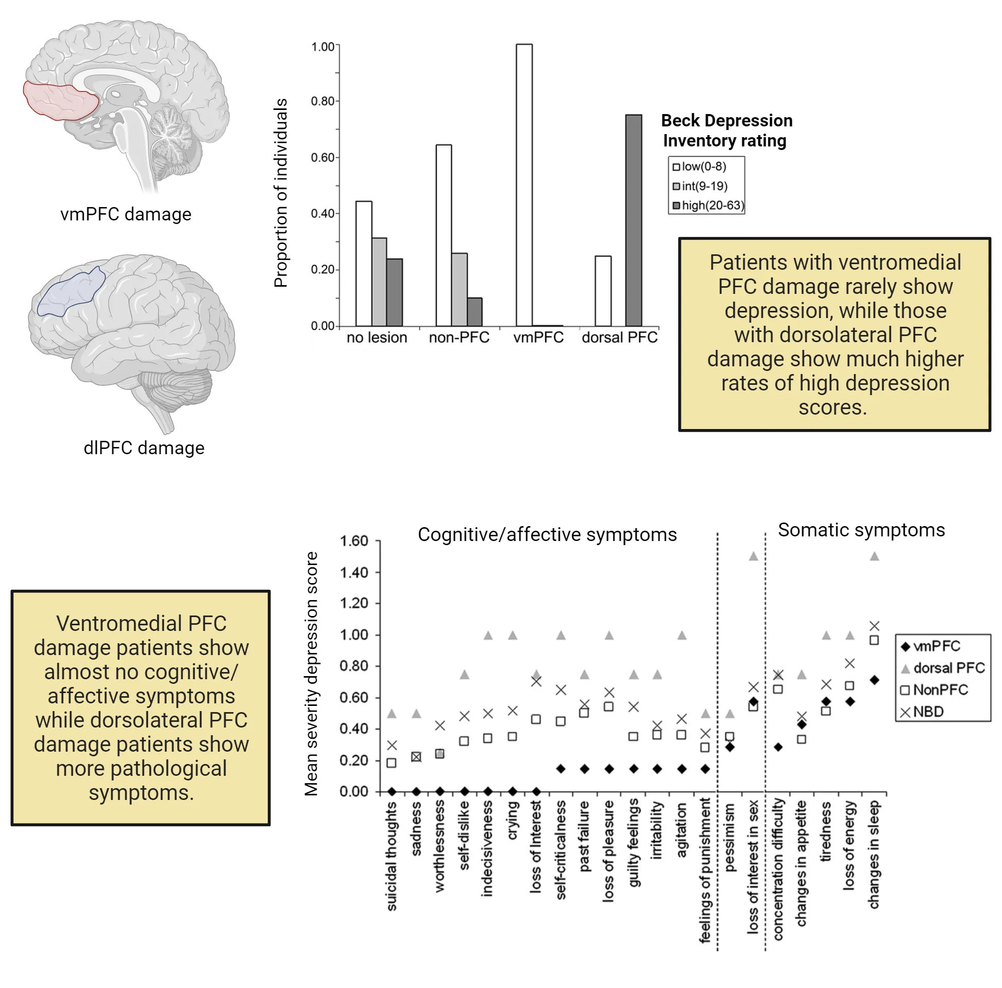 Top: Left: Diagram of 2 brains showing the location of the ventromedial prefrontal cortex and dorsolateral prefrontal cortex. Right: Bar graph of Proportion of Individuals across 4 injury conditions (no injury, non-PFC, vmPFC, dorsal PFC). Bars shown for low, intermediate and high beck Depression Inventory ratings. Bottom: Point graph for Mean severity of depression score across >12 specific symptoms. Data points shown for vmPFC, dorsal PFC, NonPFC and NBD.
