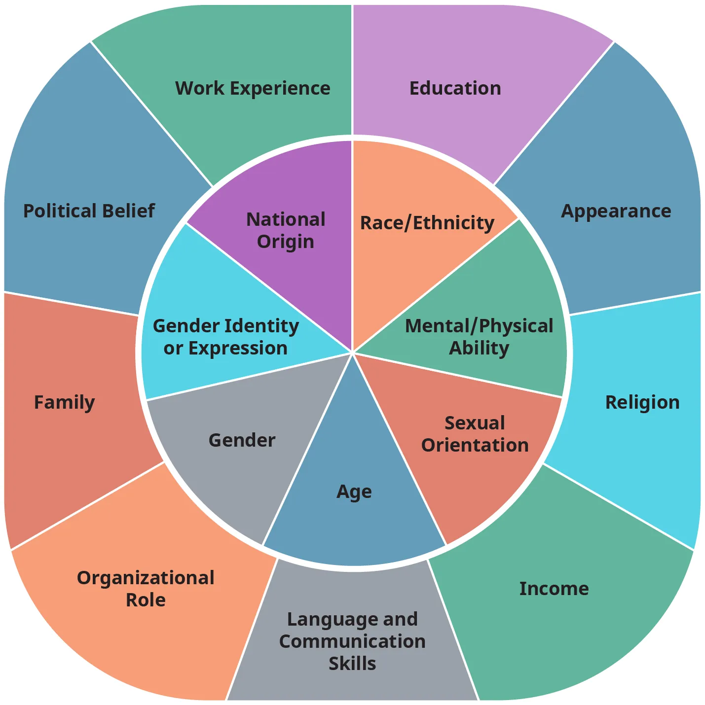 A diagram illustrates the intersectionality wheel divided into two circles one inside the other. 
