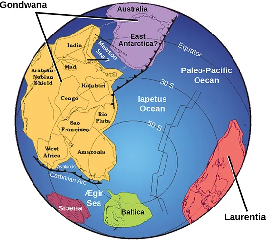 A world map shows two continents, Gondwana and Laurentia, which are shaped very differently from the continents of today. Gondwana was made up of two smaller subcontinents separated by a narrow sea. One continent contained modern Antarctica, and the other contained parts of Africa.
