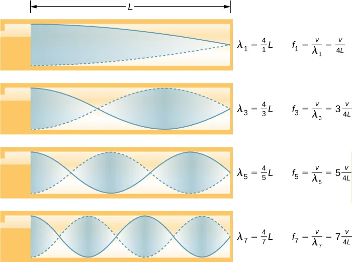 Rysunek przedstawia częstotliwość podstawową oraz trzy najniższe alikwoty dla rury jednostronnie zamkniętej. Częstotliwość podstawowa odpowiada jednej czwartej długości fali w rurze. Pierwszy alikwot występuje dla trzech czwartych długości fali w rurze, drugi alikwot dla pięć czwartych długości fali w rurze, a trzeci alikwot – dla ma siedem czwartych długości fali w rurze. Dla wszystkich nich maksymalne drgania powietrza występują na jednym końcach rury; brak drgań powietrza występuje przy zamkniętym końcu rury.