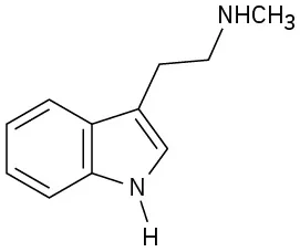An indole with the substituent C H 2 C H 2 N H C H 3 on C 3.