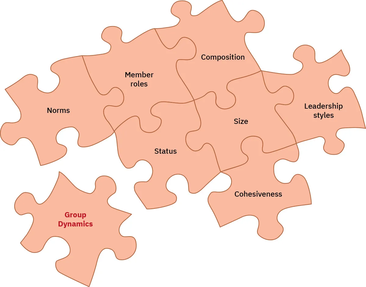 A graphic depicting the dynamics of a group in the shape of a series of connected puzzle pieces. Each puzzle piece is a different factor and include Cohesiveness, Status, Size Leadership styles, Composition, Member roles, and Norms. A final and separate puzzle piece is used as a title and labeled "Group Dynamics."