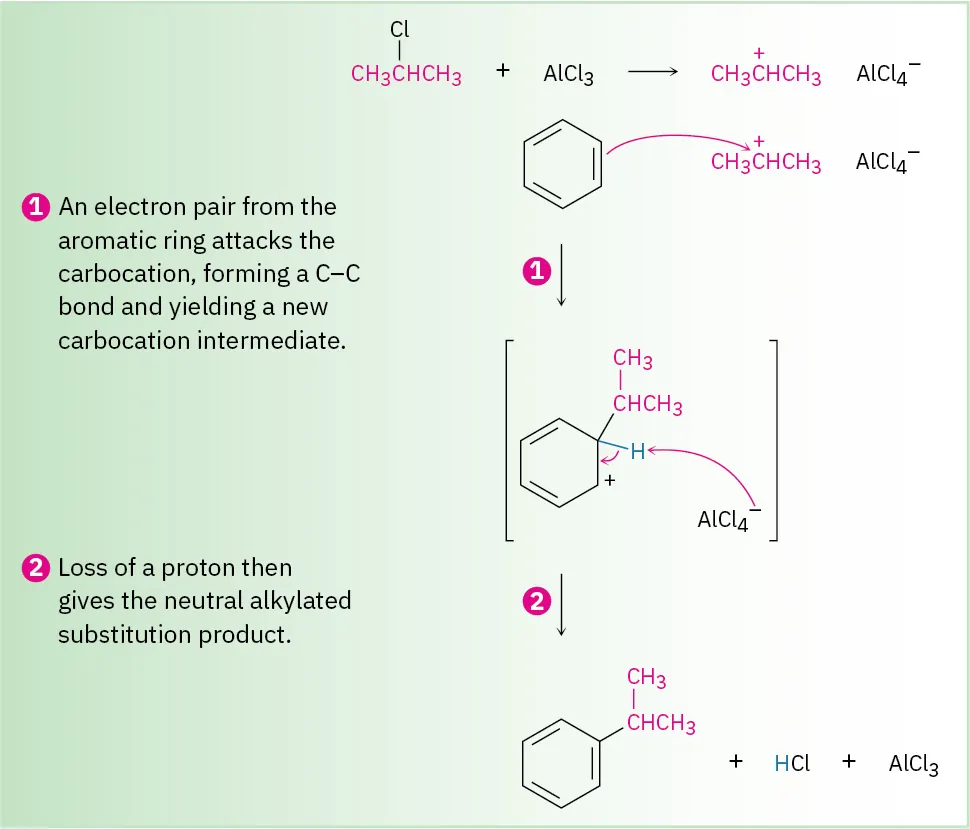 A three carbon chain with a chlorine on C 2 reacts with aluminum trichloride to generate a three carbon chain carbocation with the positive charge on C 2. The carbocation reacts with benzene to form benzene bonded to isopropyl group.