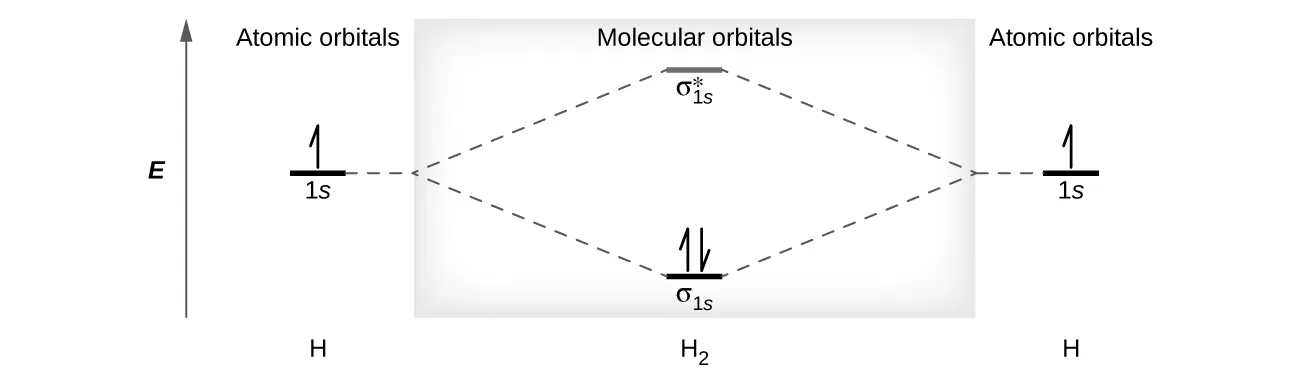 A diagram is shown that has an upward-facing vertical arrow running along the left side labeled “E.” At the bottom center of the diagram is a horizontal line labeled, “sigma subscript 1 s,” that has two vertical half arrows drawn on it, one facing up and one facing down. This line is connected to the right and left by upward-facing, dotted lines to two more horizontal lines, each labeled, “1 s,” and each with one vertical half-arrow facing up drawn on it. These two lines are connected by upward-facing dotted lines to another line in the center of the diagram, but farther up from the first, and labeled, “sigma subscript 1 s superscript asterisk.” The left and right sides of the diagram have headers that read, ”Atomic orbitals,” while the center header reads, “Molecular orbitals.” The bottom left and right are labeled “H” while the center is labeled “H subscript 2.”