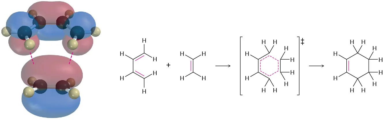 The orbital representations of 1,3-butadiene and ethene. To the right, 1,3-butadiene and ethene react to form cyclohexene via a six-membered transition state