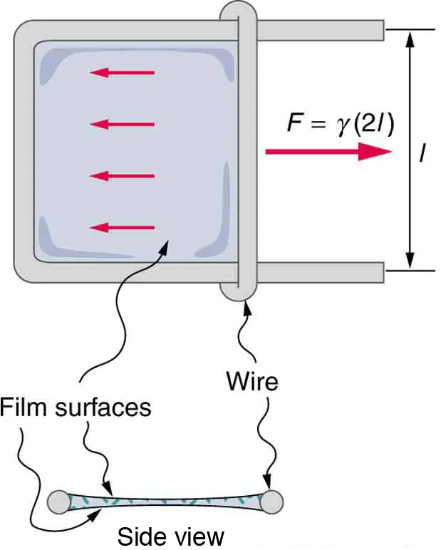 Sliding wire device which is used to measure surface tension shows the force exerted on the two surfaces of the liquid. This force remains a constant until the film's breaking point.